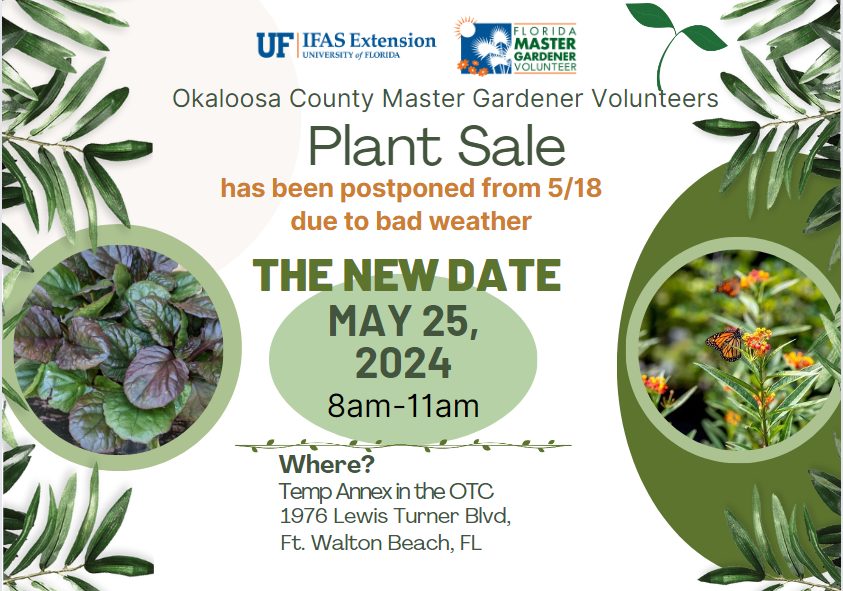 PlantLog@まとめ買い10%OFF様　確認用 436118801_858318162994227_4129